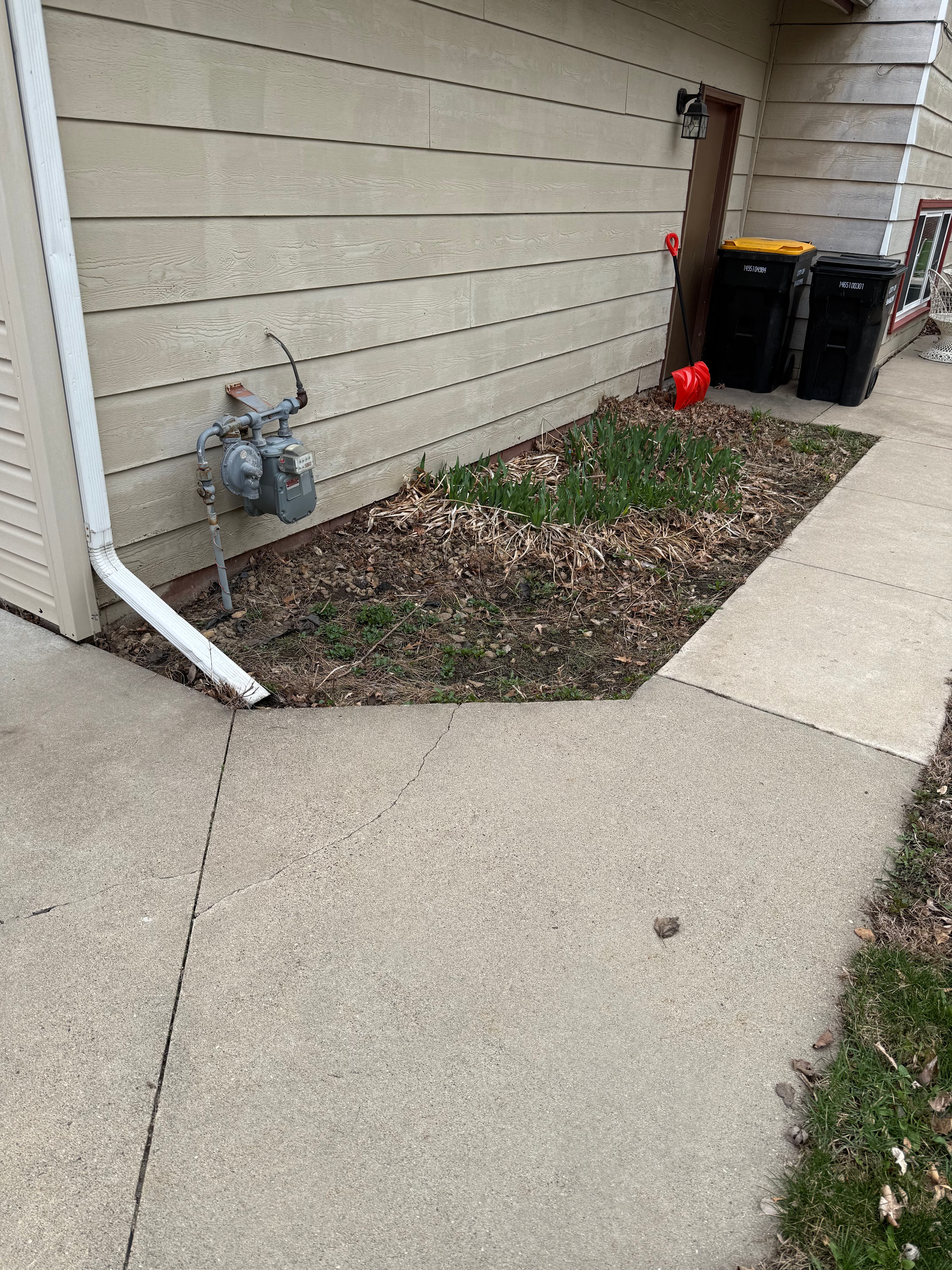 Project Rock Bed Refresh That Actually Makes Maintenance Easier image