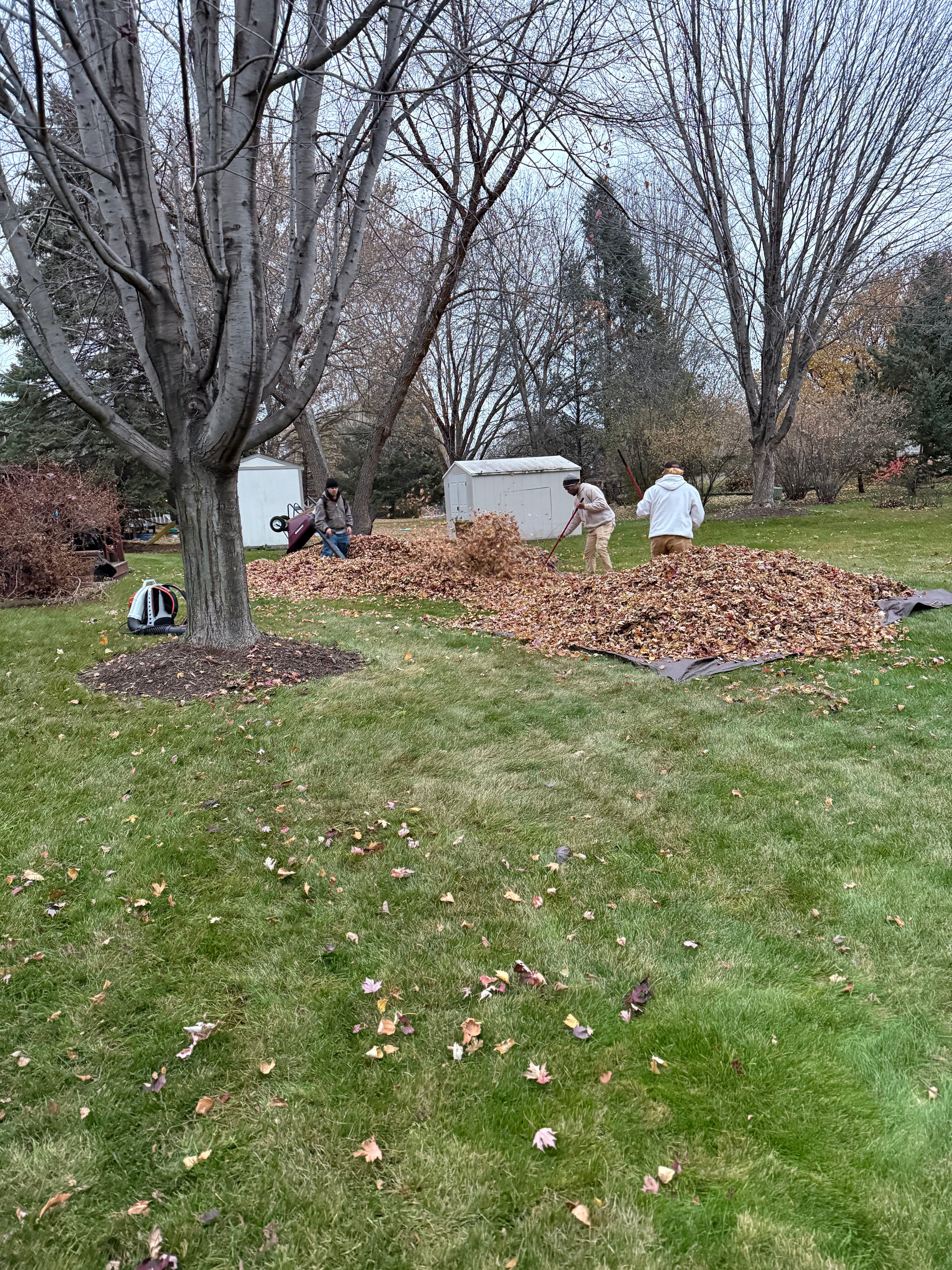 Project Fall Leaf Cleanup in Lakeville image