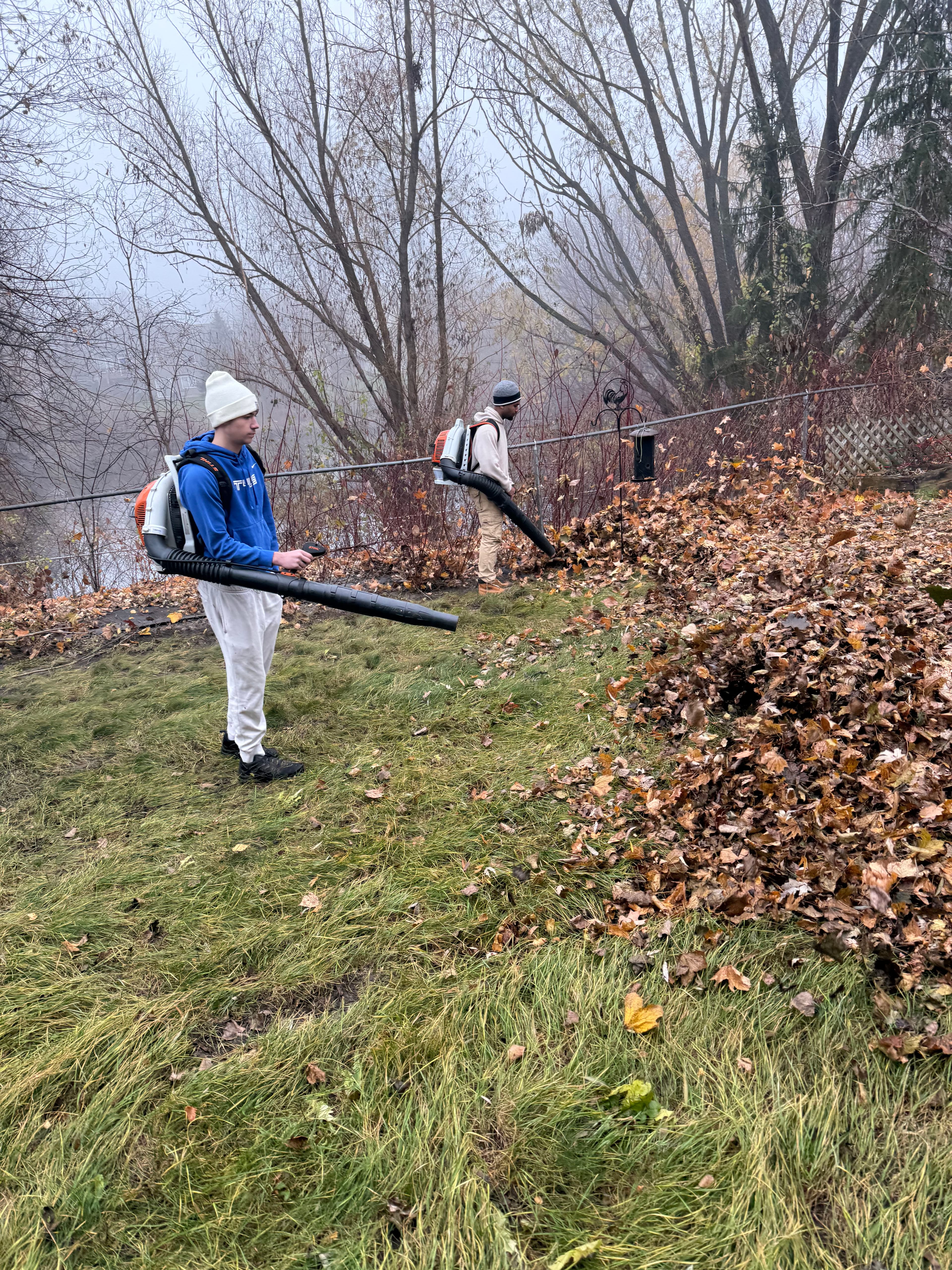 Project Efficient Leaf Removal Services in Lakeville image