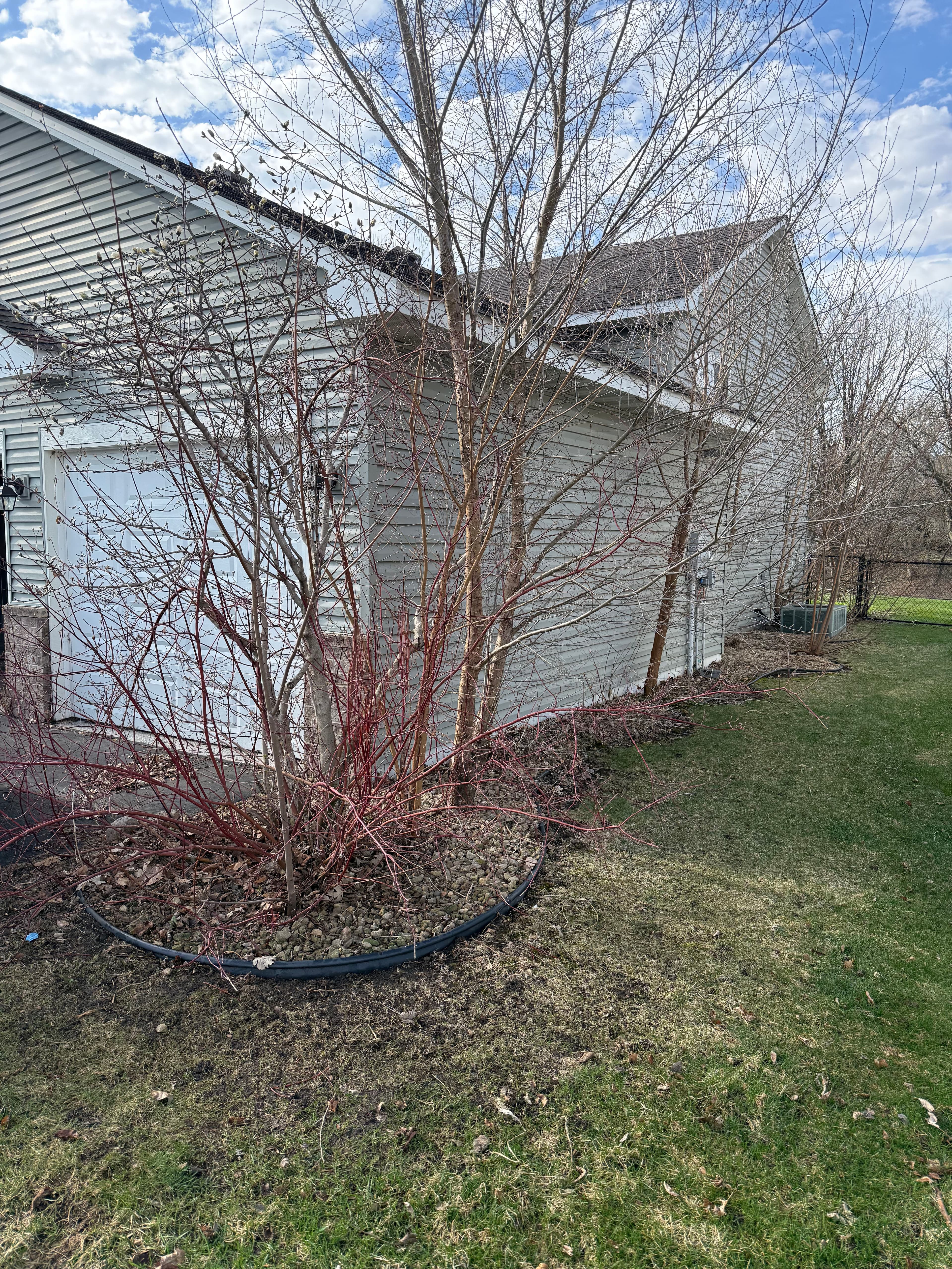 Project Shrub Removal and Rock Bed Refresh in Farmington Minnesota image